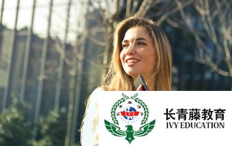 意大利語(yǔ)日常--談?wù)勀愕墓ぷ鳎–he lavoro fai?）